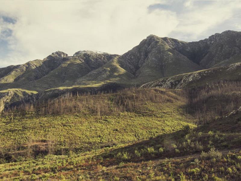 De Companjie Bed & Breakfast Swellendam Bagian luar foto